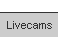 livecams
